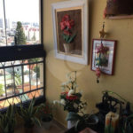 Apartamento com 3 quartos