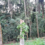 Condomínio à venda em Serra da Cantareira, Mairiporã, SP