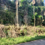 Terreno à venda no condomínio Sausalito, Mairiporã - SP