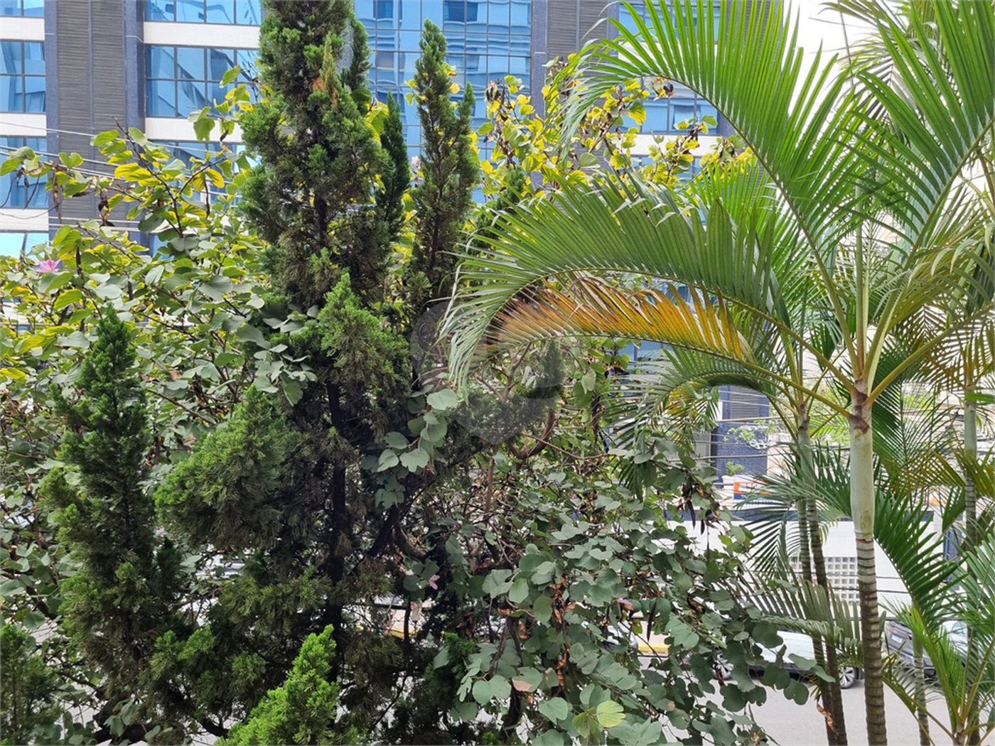 Apartamento à venda com 3 quartos, sendo 1 suíte, em Liberdade, São Paulo, SP