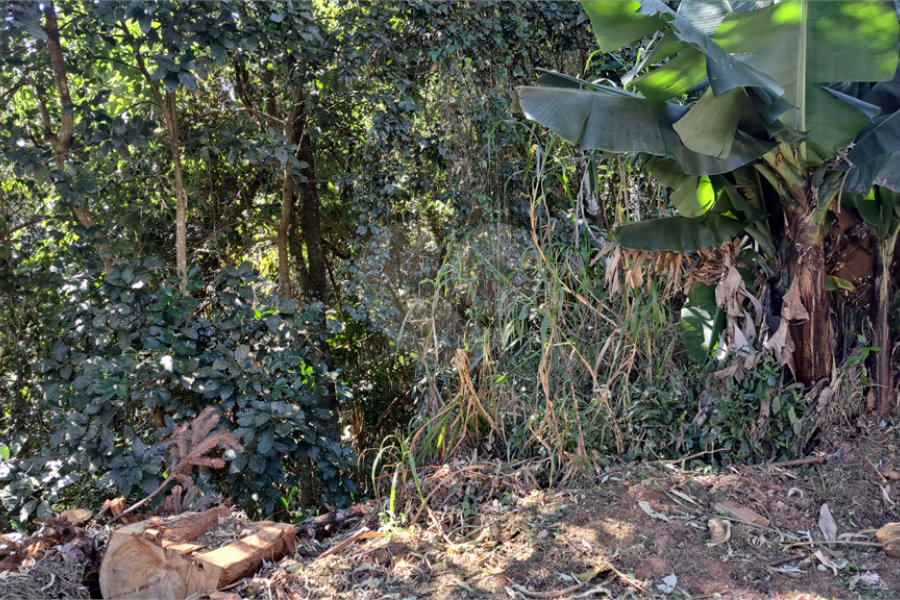 Terreno à venda no condomínio Residencial Bosque da Serra, Mairiporã - SP