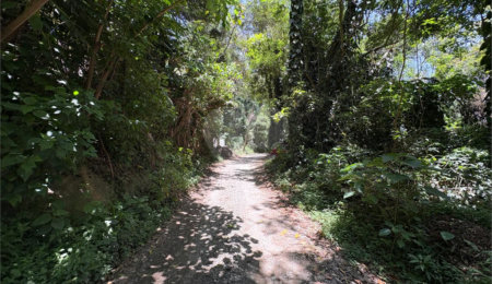 Terreno à venda em Serra da Cantareira, Mairiporã, SP