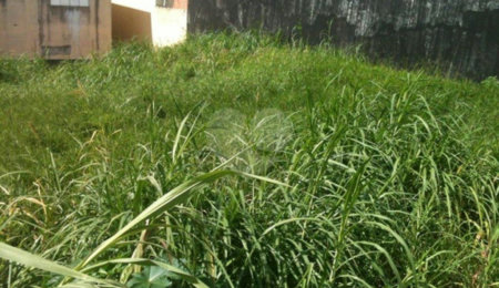 Terreno à venda em Tremembé, São Paulo, SP