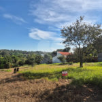 Terreno à venda em Chácaras São Bento, Valinhos, SP