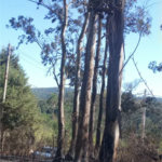 Terreno à venda em Caete (mailasqui), São Roque, SP