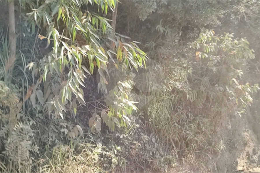 Terreno à venda em Luiz Fagundes, Mairiporã, SP