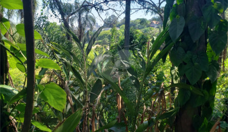 Terreno à venda em Morumbi, São Paulo, SP