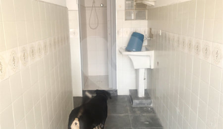 Sobrado à venda com 2 quartos em Mandaqui, São Paulo, SP