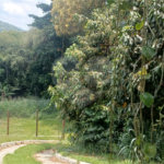 Terreno à venda no condomínio Alpes de Mairiporã, Mairiporã - SP