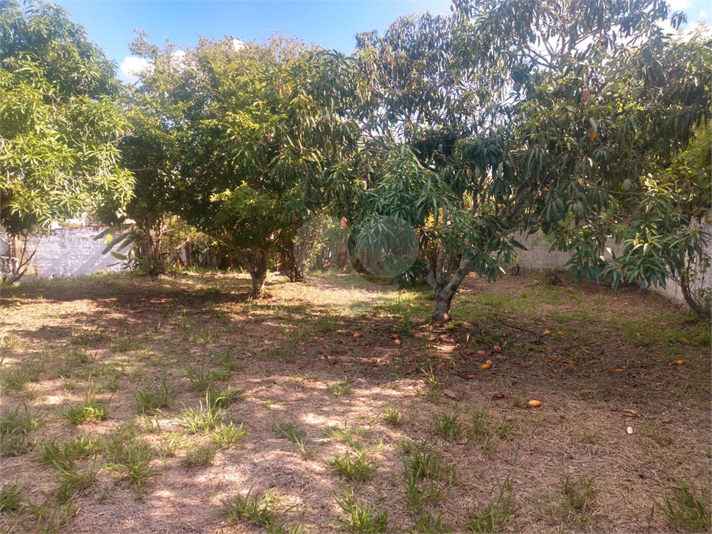 Chácara à venda com 3 quartos, sendo 1 suíte, no Centro, Porangaba, SP