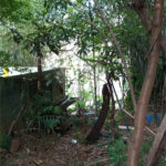 Casa à venda com 3 quartos, sendo 1 suíte, em Mandaqui, São Paulo, SP