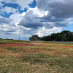 Área de Terra à venda em Jardim Botânico, Araraquara, SP