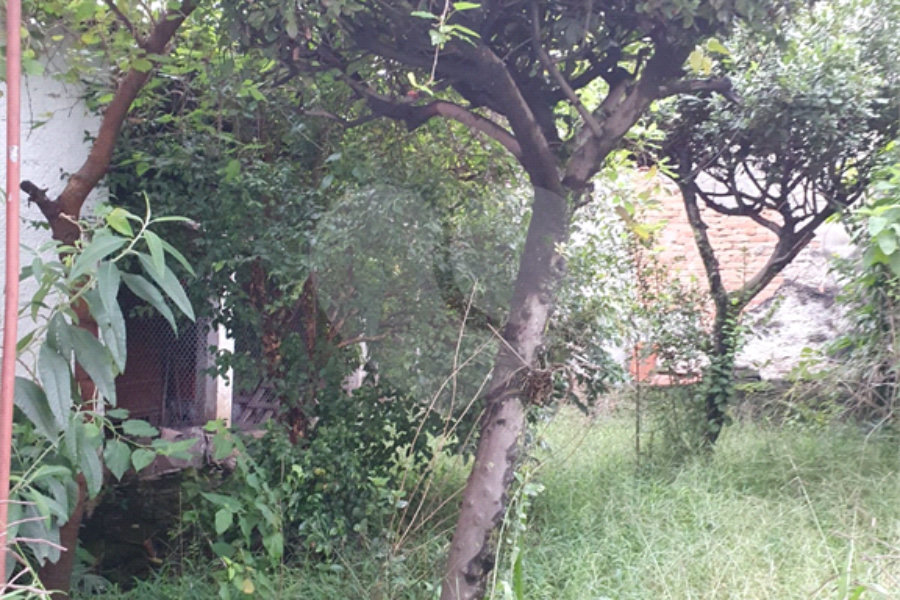 Casa à venda com 4 quartos, sendo 3 suítes, em Vila Guilherme, São Paulo, SP