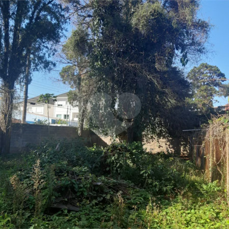 Terreno à venda em Vila Gustavo, São Paulo, SP