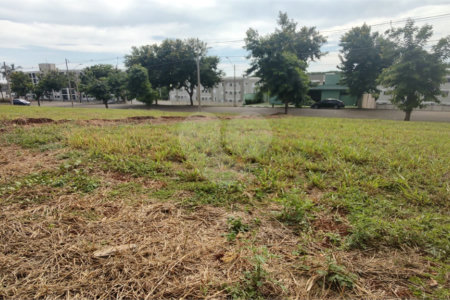 Terreno à venda em Reserva San Pedro, Ribeirão Preto, SP