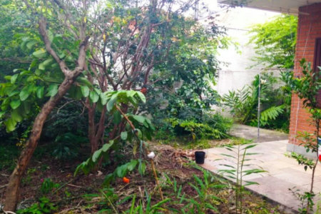 Casa Térrea à venda com 3 quartos, sendo 1 suíte, em Vila Cordeiro, São Paulo, SP