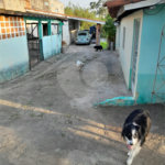 Terreno à venda em Jardim Marcelo Augusto, Sorocaba, SP