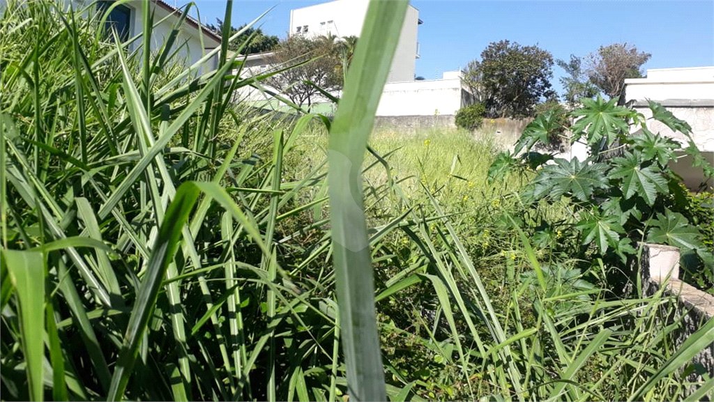 Terreno à venda em Jardim São Bento, São Paulo, SP