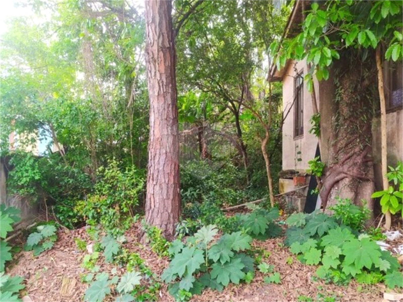 Terreno à venda com 5 quartos em Vila Medeiros, São Paulo, SP