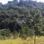 Terreno à venda em Estância Santa Maria do Portão, Atibaia, SP