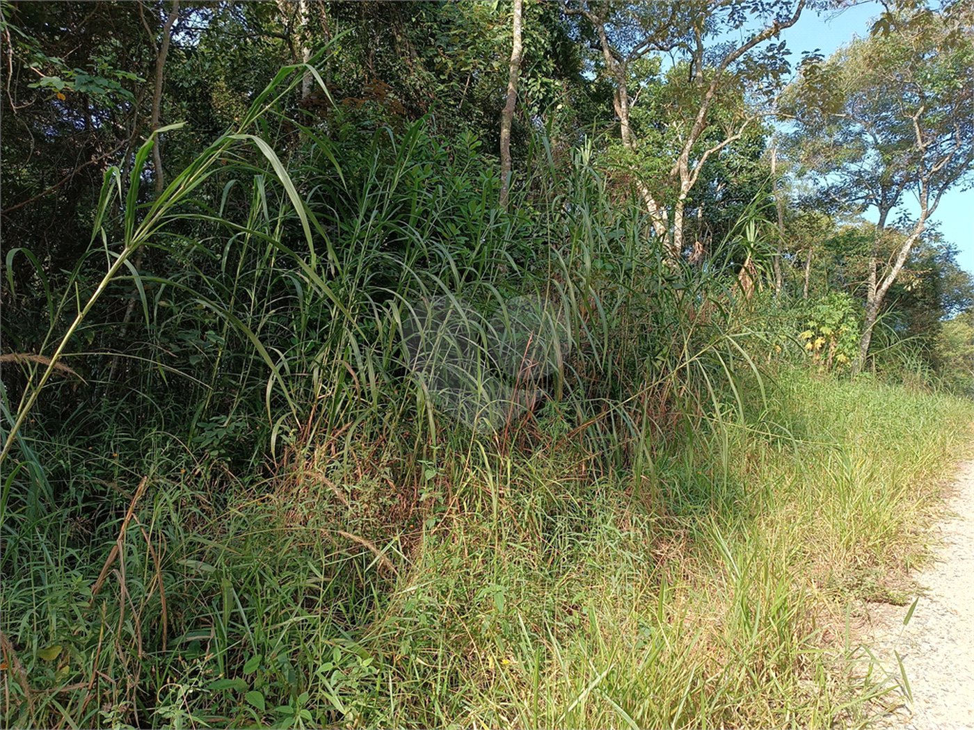 Chácara à venda com 2 quartos, sendo 1 suíte, em Caete (mailasqui), São Roque, SP