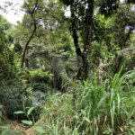Terreno à venda no condomínio Gleba E1 E2, Mairiporã - SP