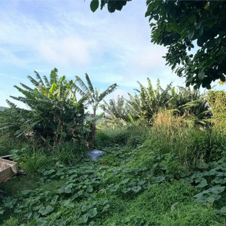 Terreno à venda em Albatroz, Armação dos Búzios, RJ