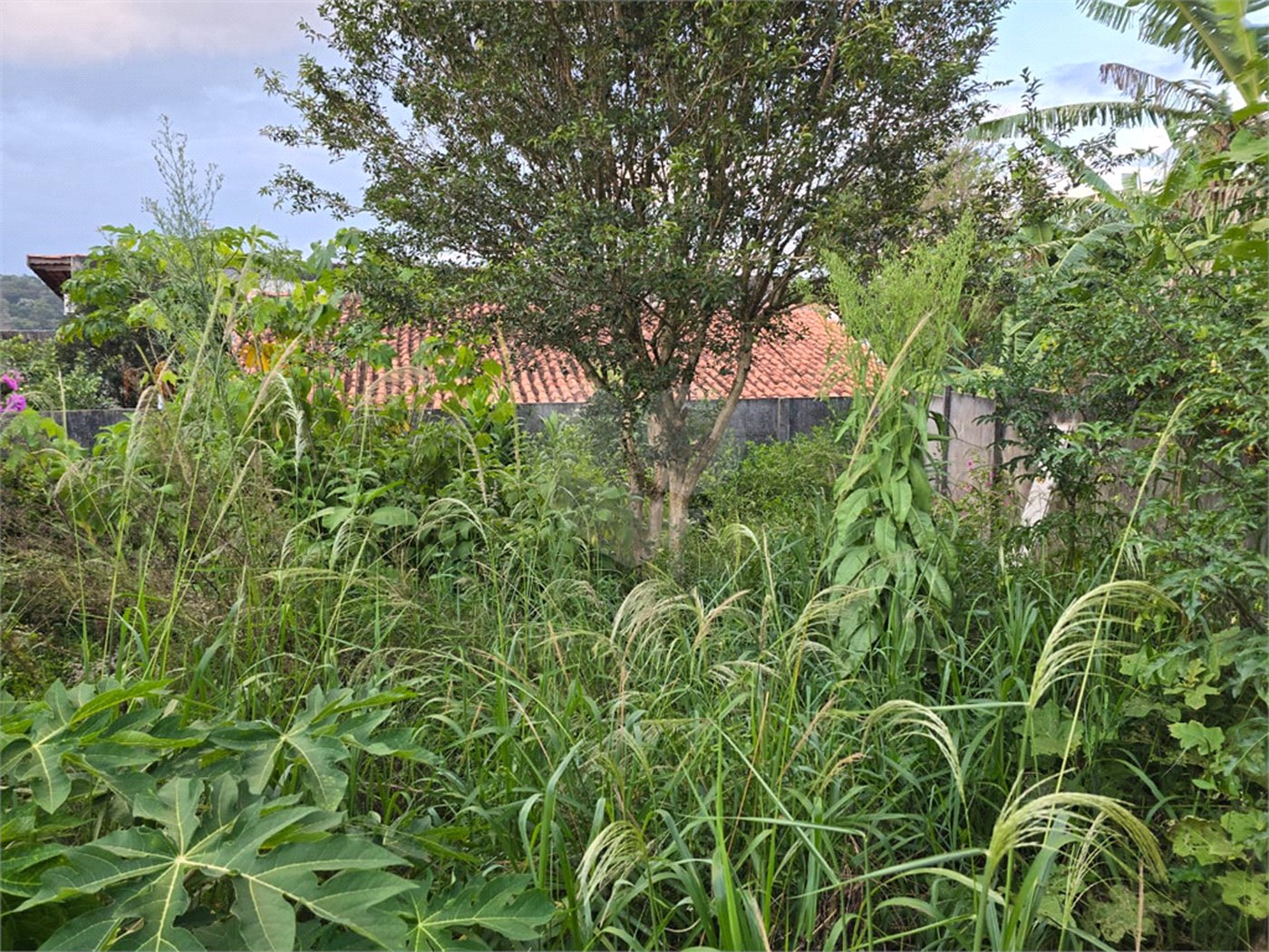 Casa à venda com 2 quartos, sendo 1 suíte, em Ressaca, Atibaia, SP