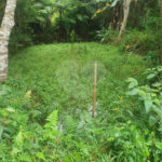 Terreno à venda em Vila Moraes, Mogi das Cruzes, SP