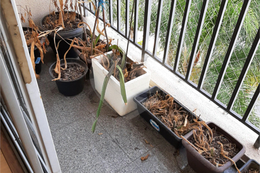 Apartamento à venda ou para alugar com 3 quartos, sendo 1 suíte, em Morumbi, São Paulo, SP