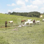 Área de Terra à venda em Área Rural de Monte Mor, Monte Mor, SP
