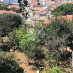 Sobrado à venda com 3 quartos, sendo 1 suíte, em Santana, São Paulo, SP