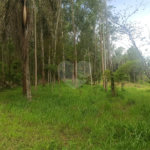 Sítio à venda com 9 quartos, sendo 5 suítes, em Portão, Atibaia, SP
