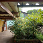 Casa Térrea à venda com 1 quarto em Vila Nivi, São Paulo, SP