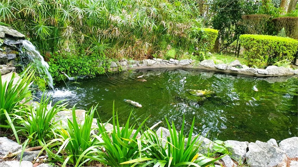 Terreno à venda em Jardim São Vicente, Cotia, SP