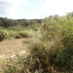 Terreno à venda ou para alugar em Cachoeira, Vinhedo, SP