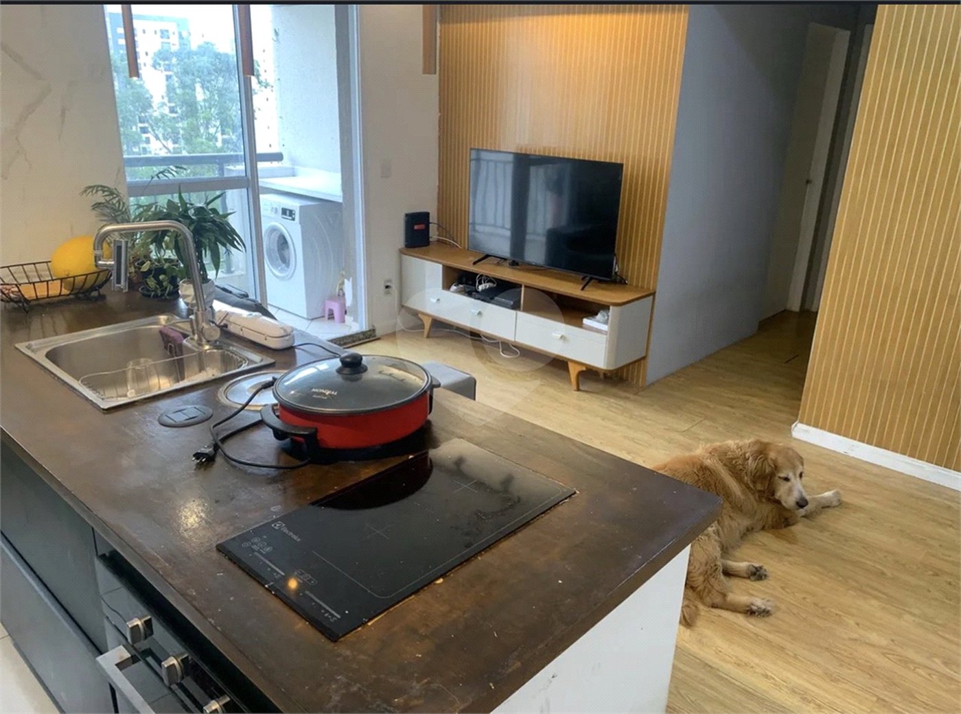 Apartamento à venda com 1 quarto em Parque Reboucas, São Paulo, SP