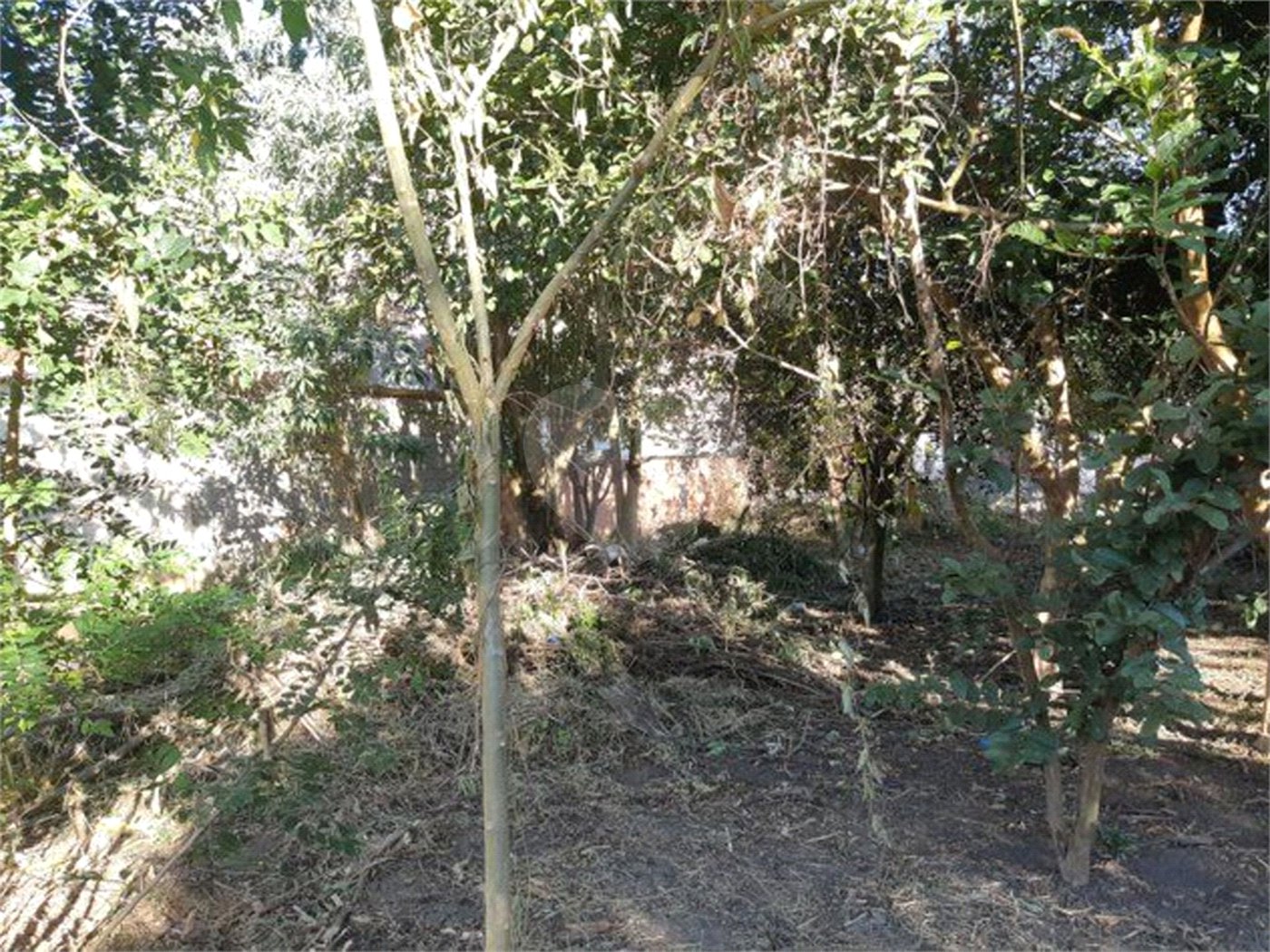 Terreno à venda em Taboão, São Roque, SP