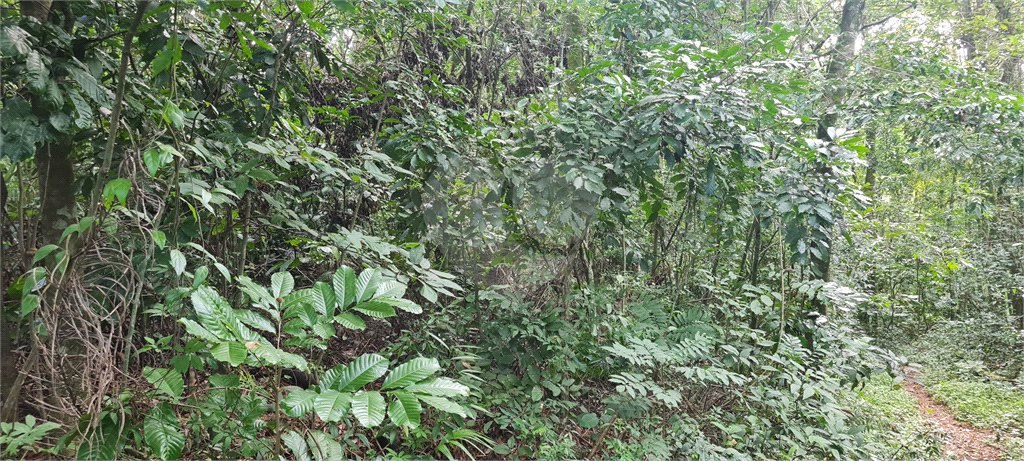 Terreno à venda em Caraguatá, Mairiporã, SP