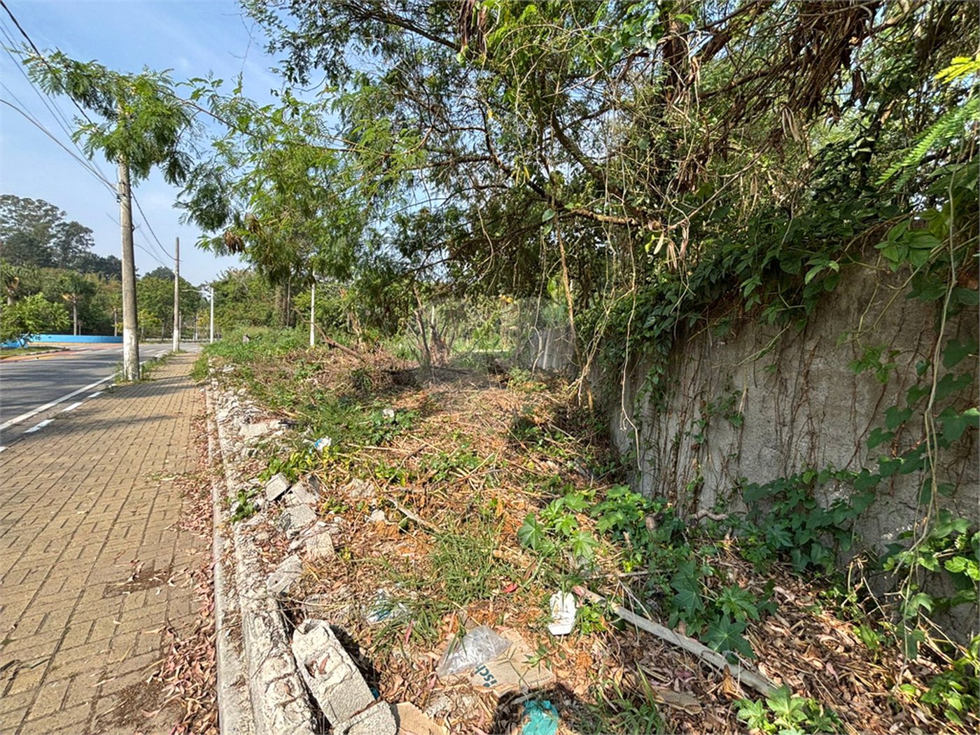 Terreno à venda em Vila Áurea, Poá, SP