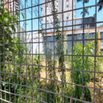 Terreno à venda ou para alugar em Chácara Santo Antônio, São Paulo, SP