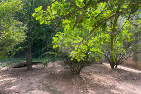 Terreno à venda em Jardim Nova América, Louveira, SP