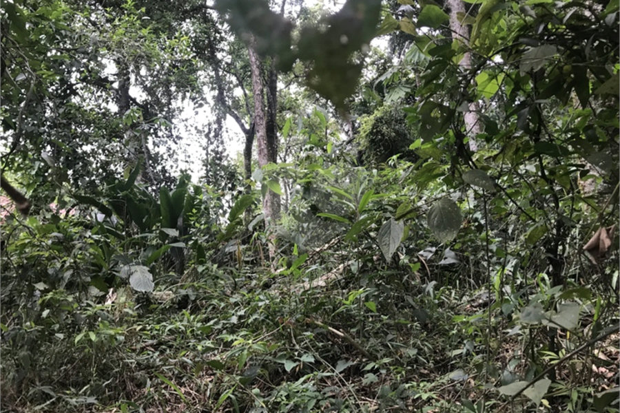 Terreno à venda em Serra da Cantareira, Mairiporã, SP