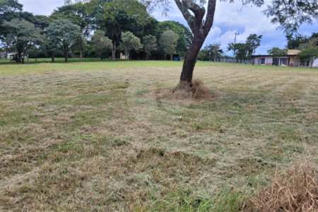 Loteamento Residencial no Condomínio Vila Pinhal do Broa.