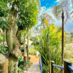 Casa à venda com 3 suítes no condomínio São Joaquim, Vinhedo - SP