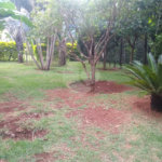 Casa à venda ou para alugar com 2 quartos, sendo 1 suíte,  em Vila Novo Horizonte, Itapetininga, SP