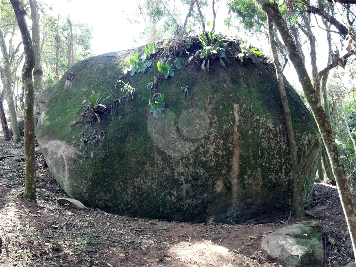 Terreno à venda em Caceia, Mairiporã, SP