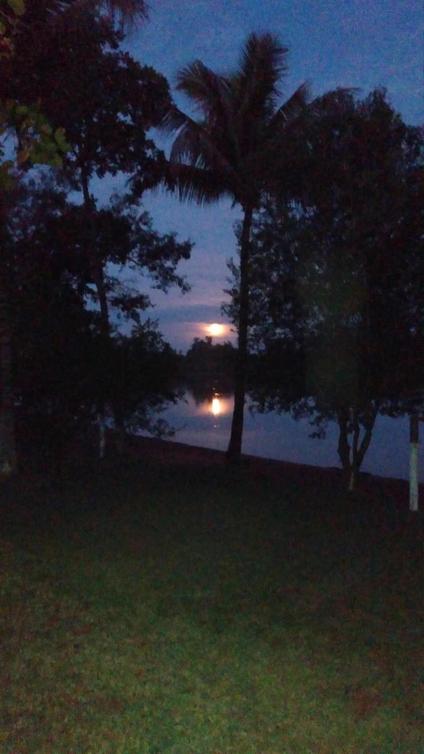 Sítio à venda com 2 quartos, sendo 1 suíte,  em Rural, Três Lagoas, MS