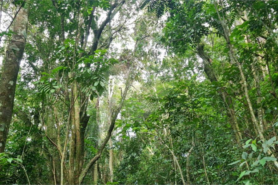 Terreno à venda em Caraguatá, Mairiporã, SP
