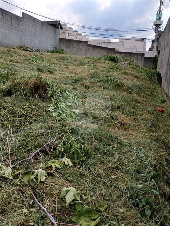 Terreno à venda em Vila São Paulo, Mogi das Cruzes, SP